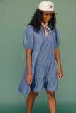Report Card Denim Dress