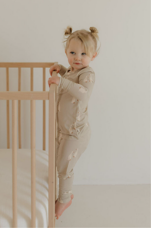 Bamboo Two Piece Pajamas | Silly Goose