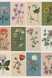 Pastel Petals