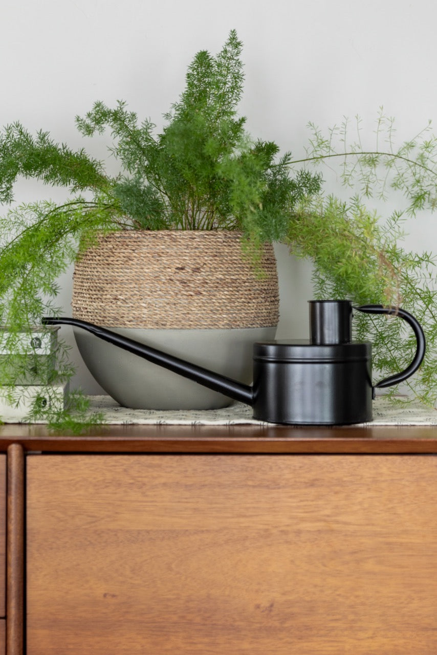 indoor house plant watering can Accent Decor The Wednesday Watering Can