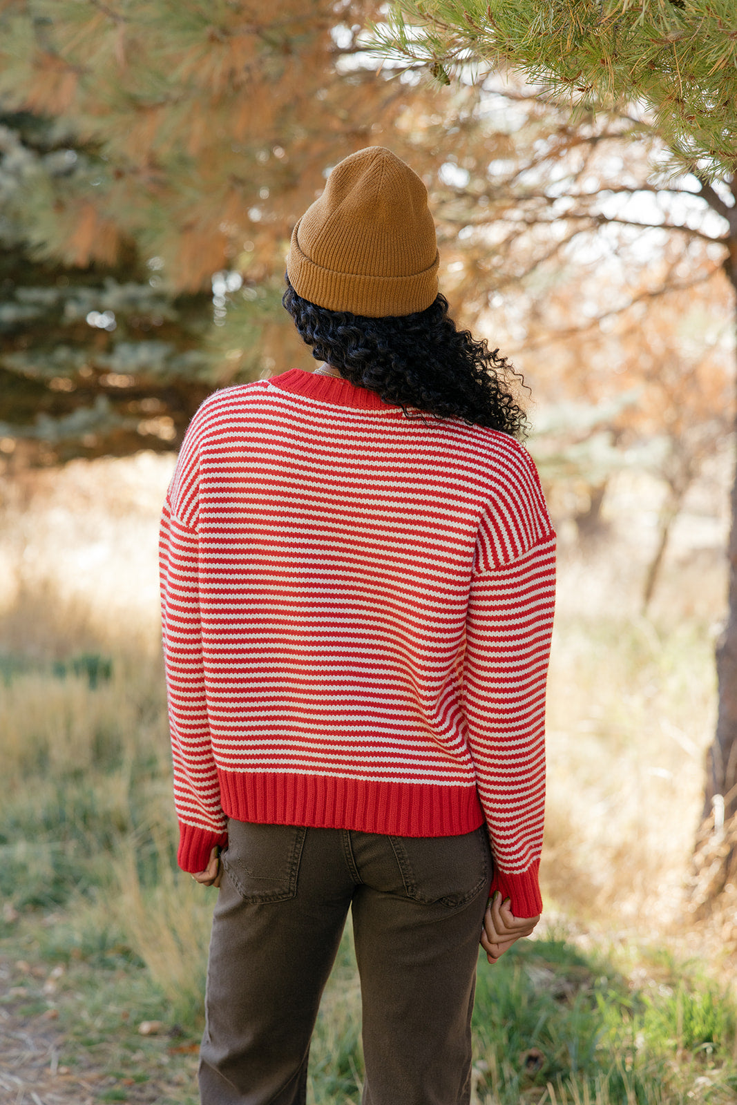 Cranberry Chalet Stripe Sweater