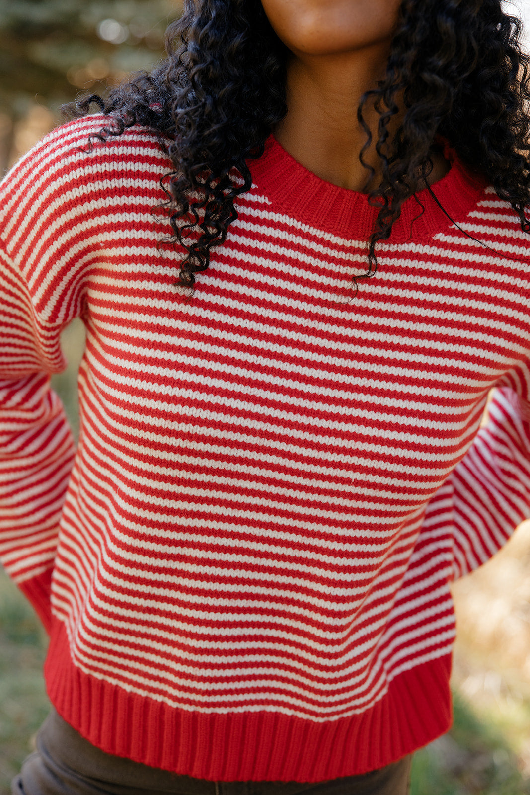 Cranberry Chalet Stripe Sweater