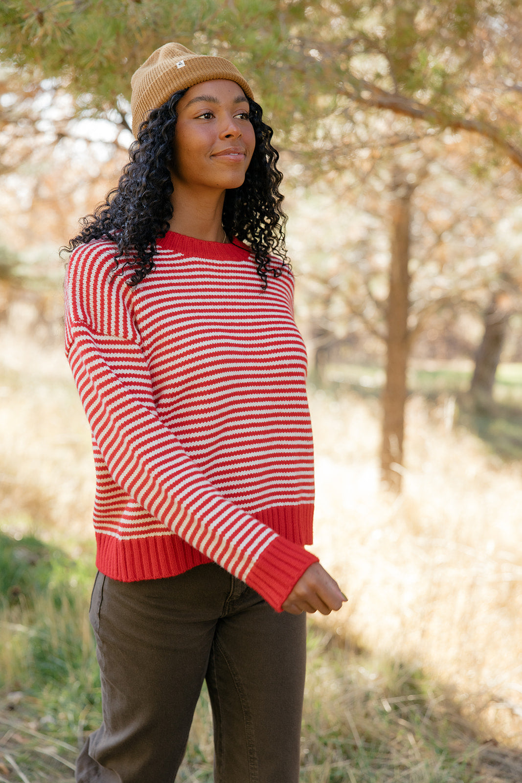 Cranberry Chalet Stripe Sweater