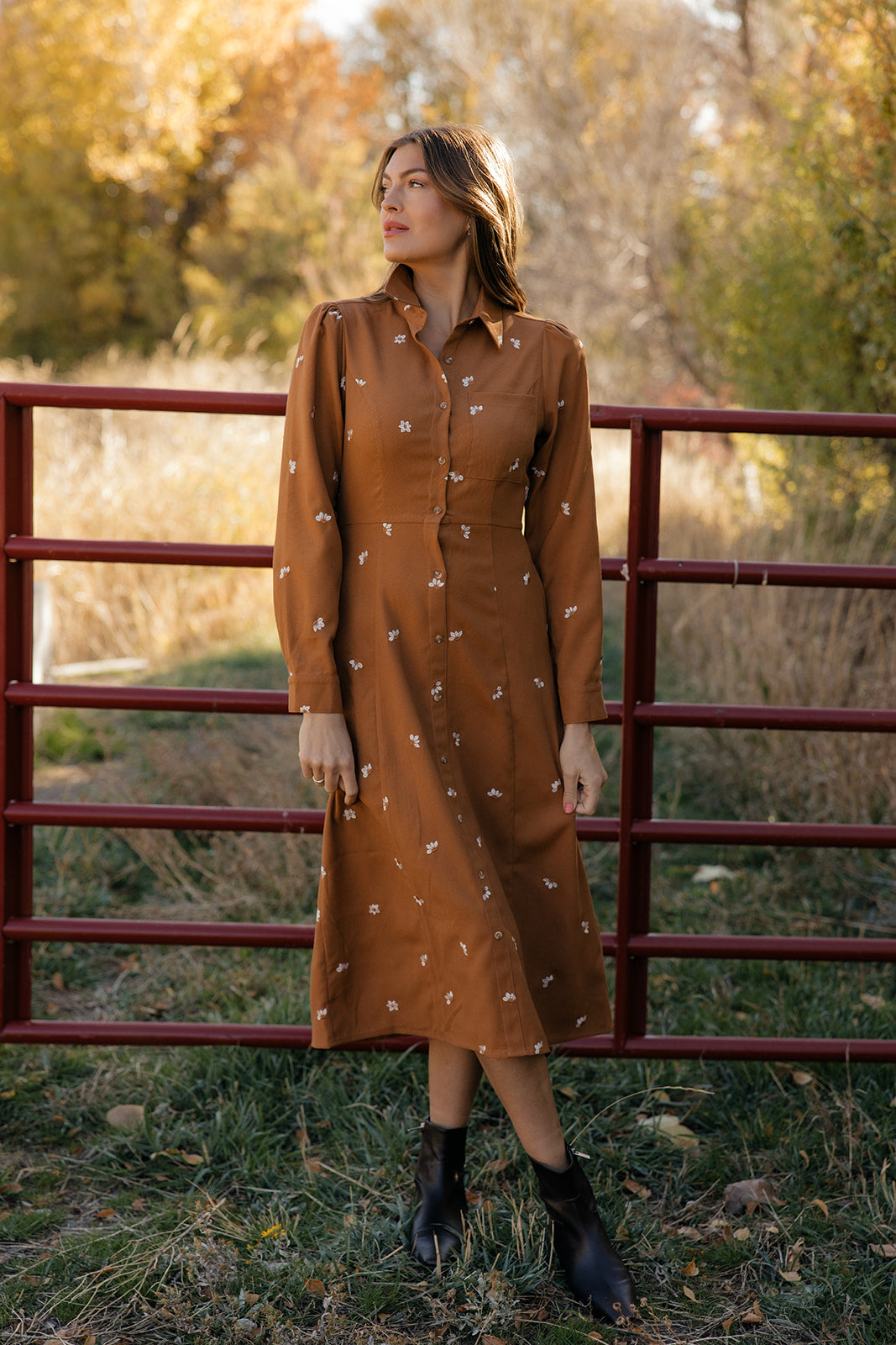 Haven Embroidered Collared Dress