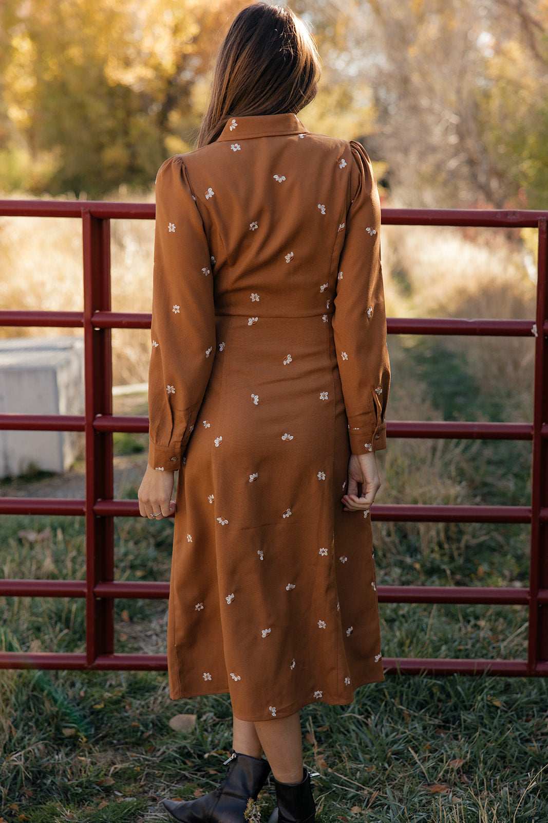 Haven Embroidered Collared Dress