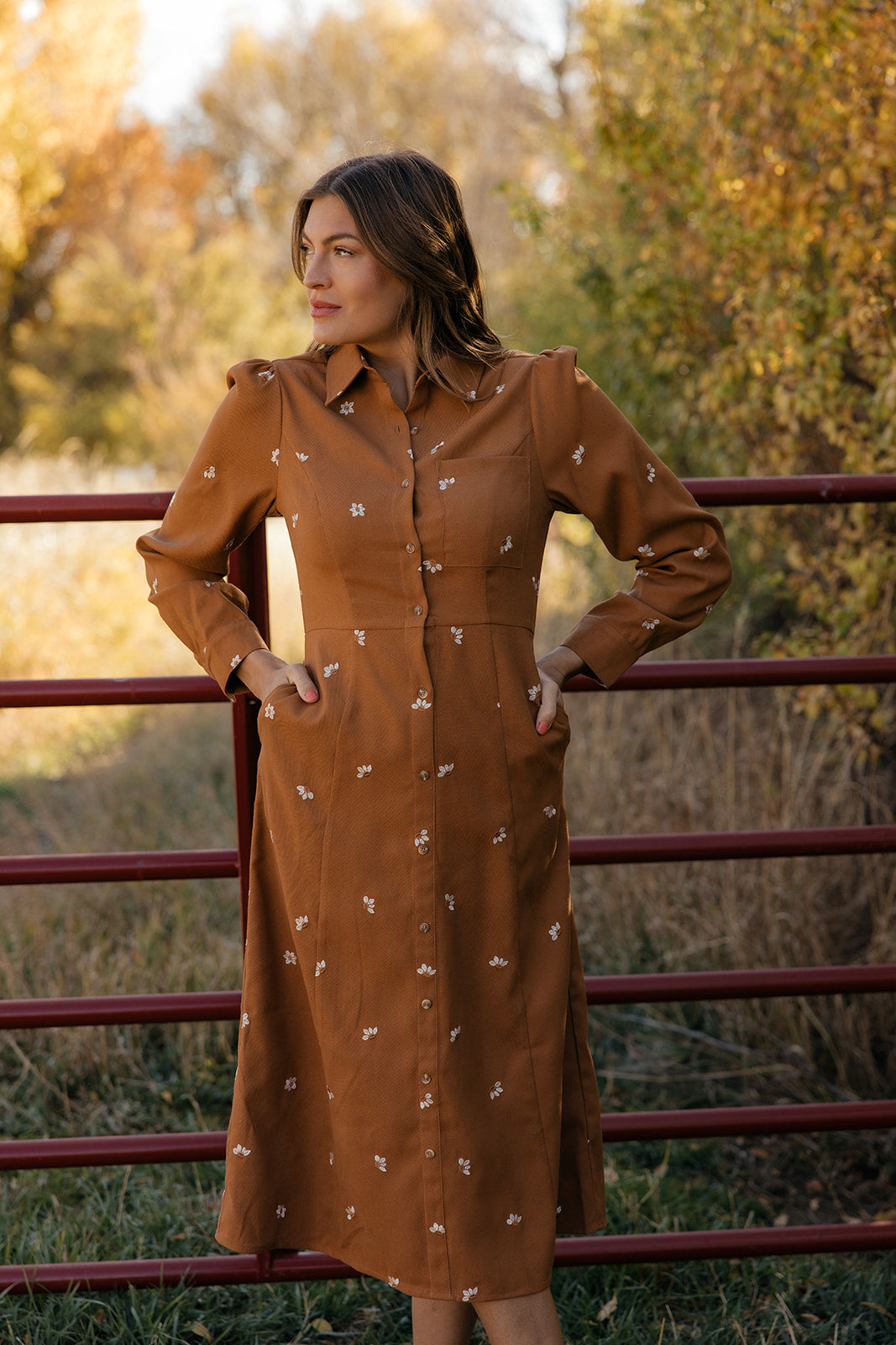 Haven Embroidered Collared Dress