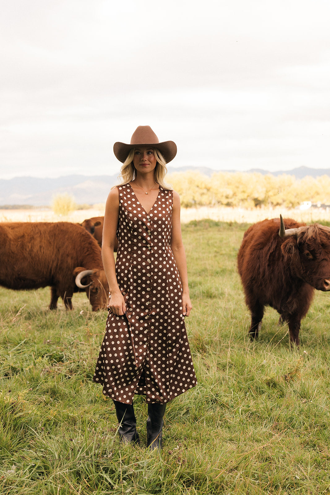 Eloise Dot Dress