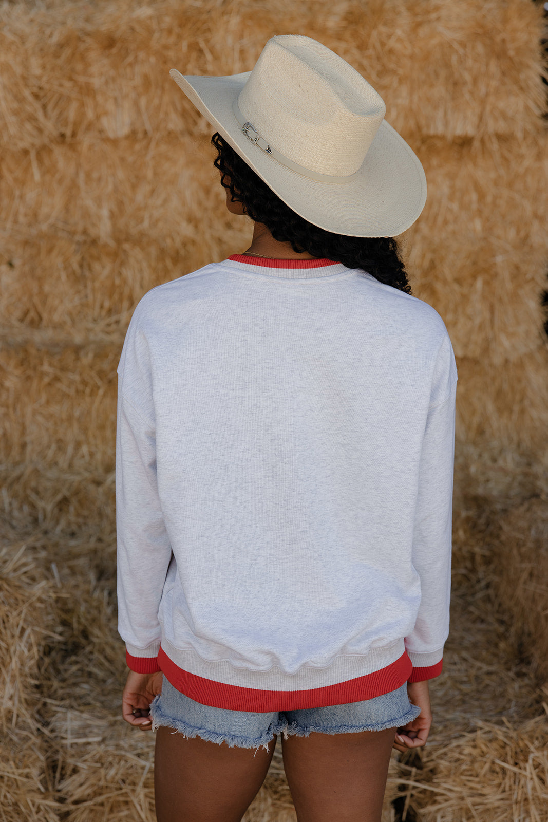 America Graphic Pullover