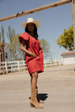 County Fair Gingham Dress