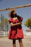 County Fair Gingham Dress
