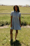 Summer in Denim Collared Dress