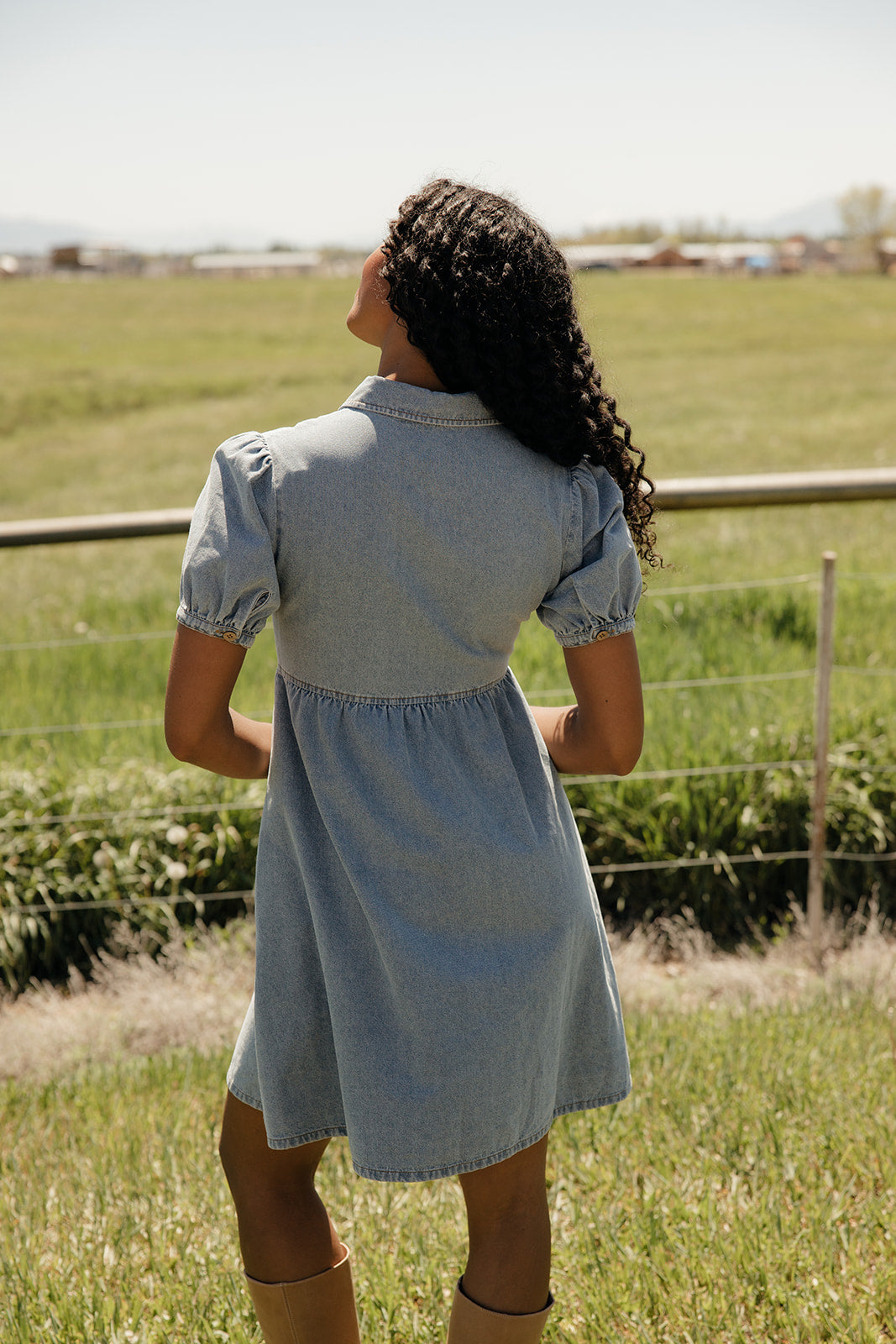 Summer in Denim Collared Dress