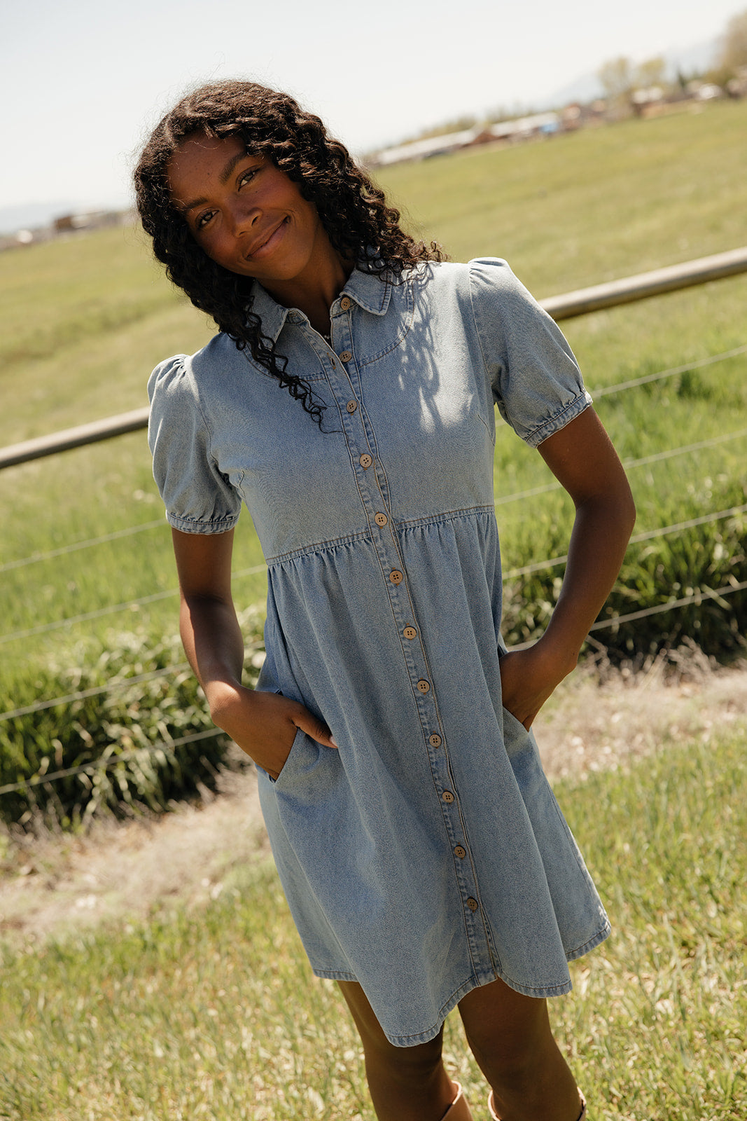 Summer in Denim Collared Dress