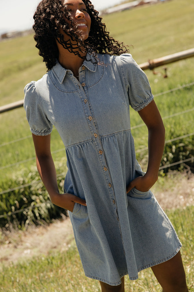 Summer in Denim Collared Dress – ROOLEE