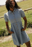 Summer in Denim Collared Dress