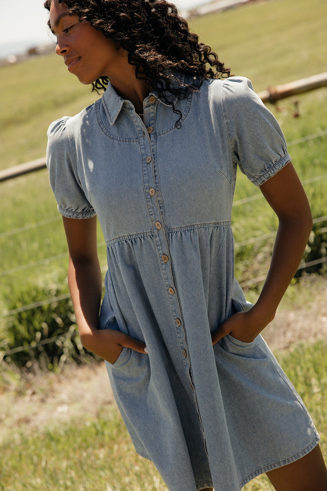 Summer in Denim Collared Dress