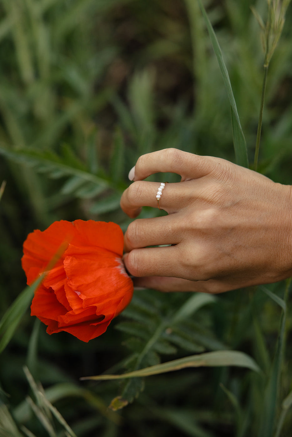 a hand holding a red flower