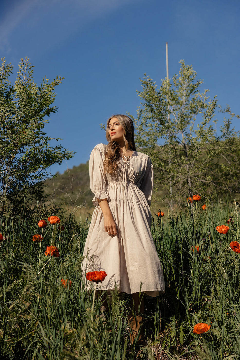 a woman in a dress standing in a field of flowers