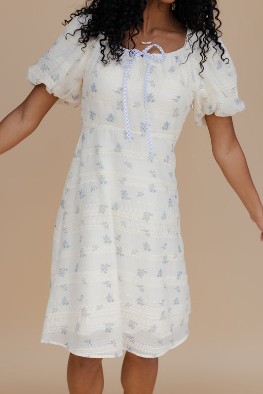 Coastal Bay Puff Sleeve Dress
