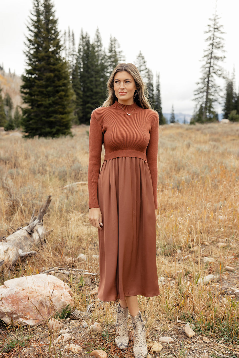 a woman in a brown dress