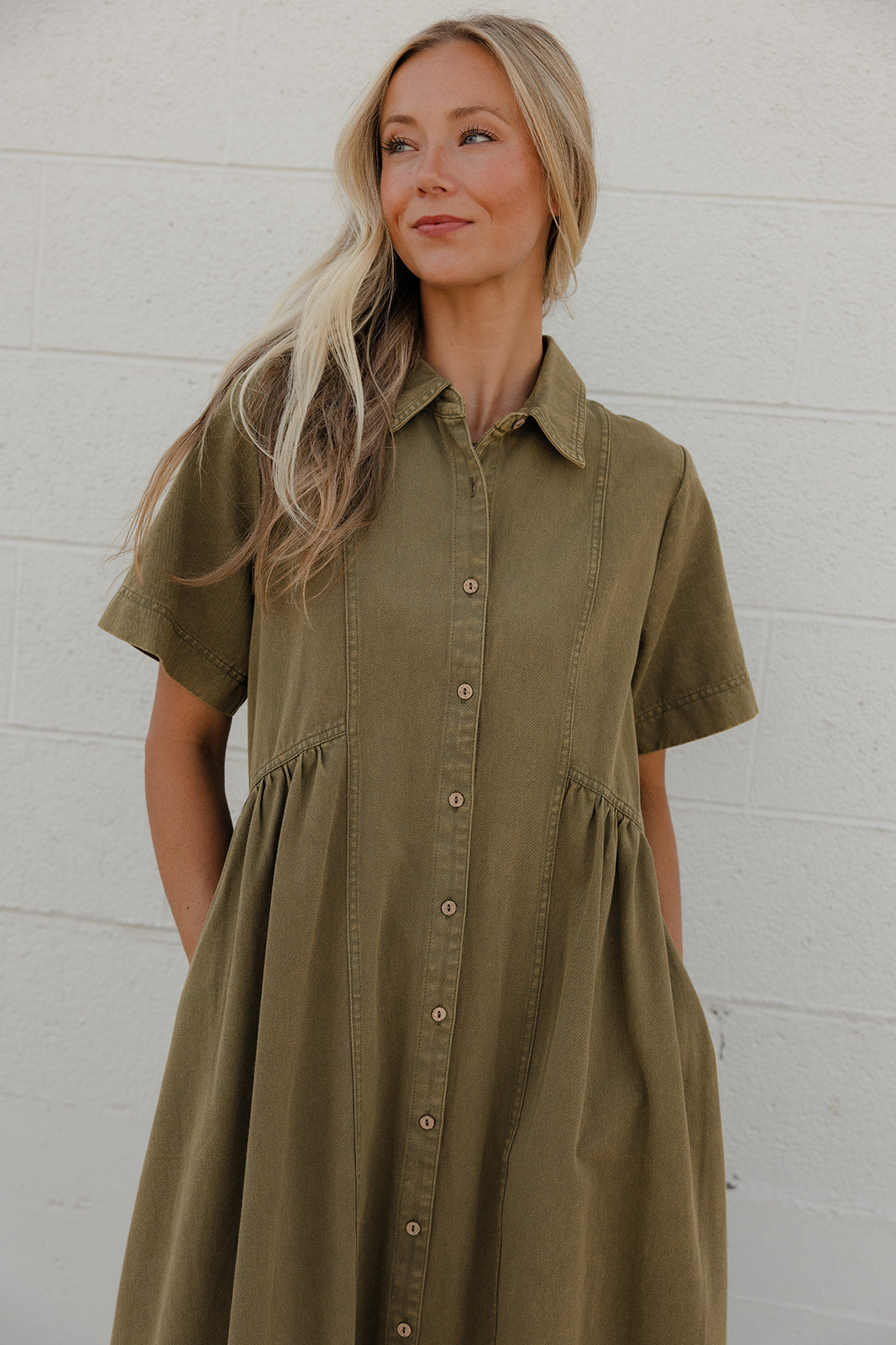 The Grove Collared Dress