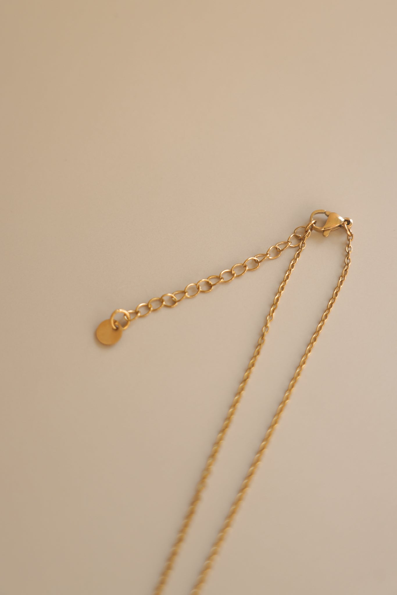Gold Chain + Tiny Pearl