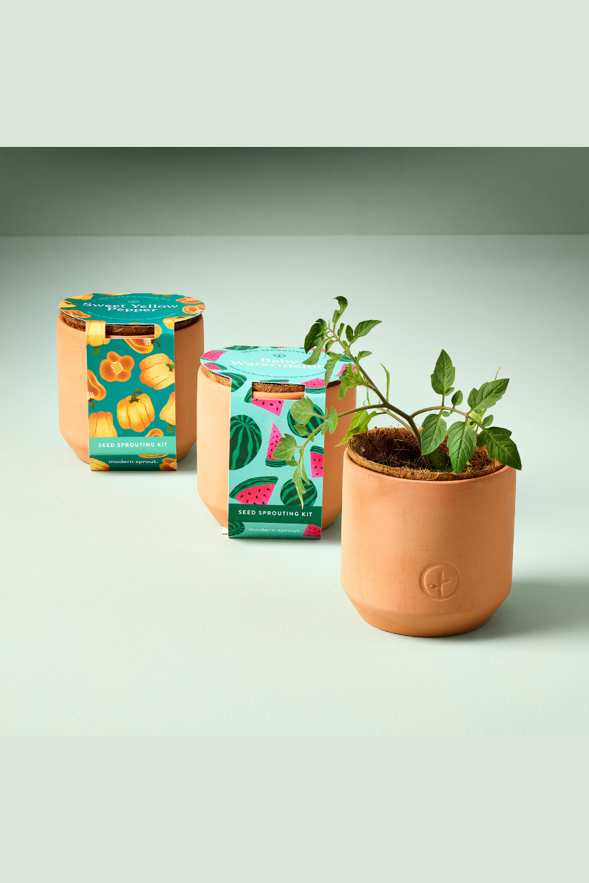 Tiny Terracotta Garden Kits