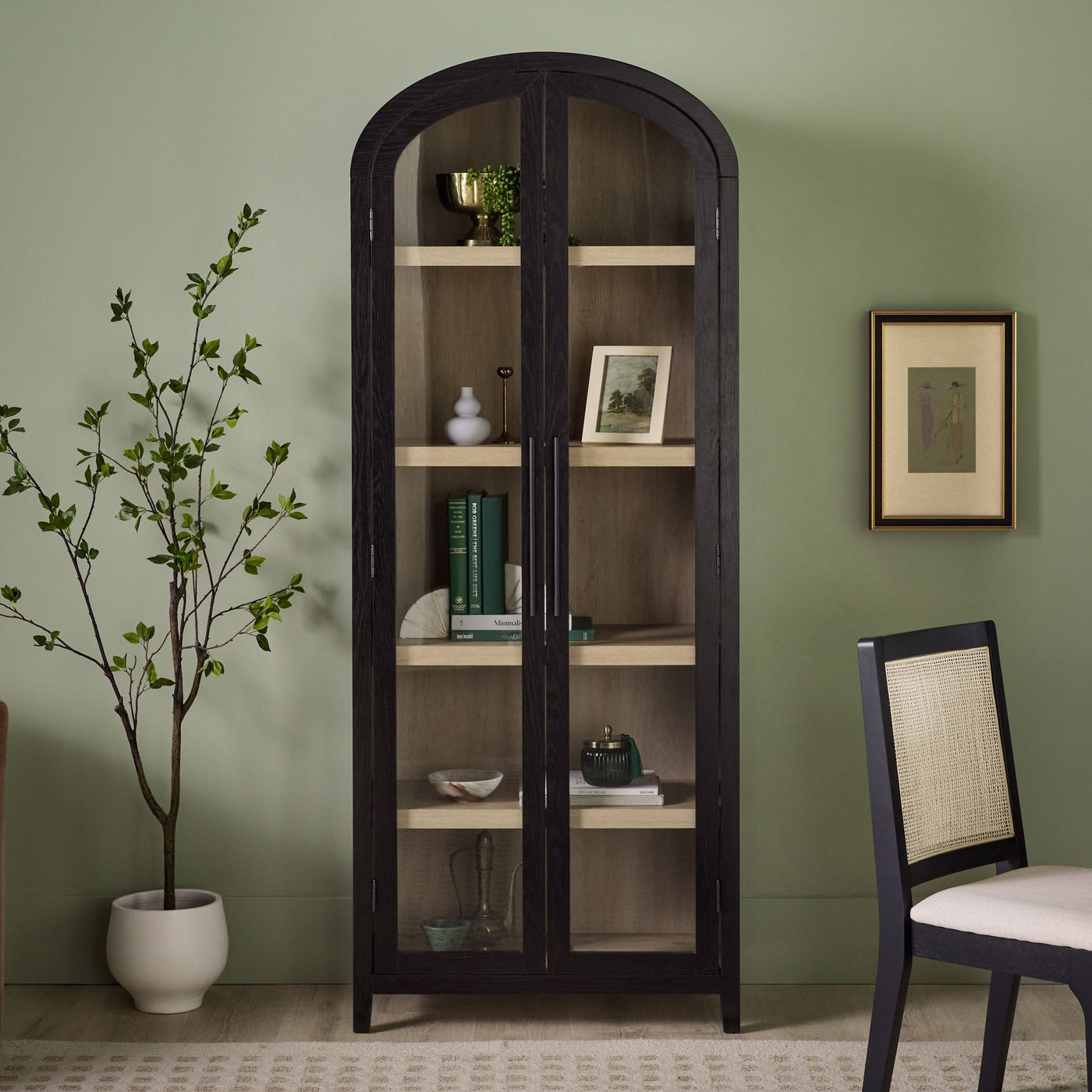 a glass cabinet with shelves and a plant in front of it