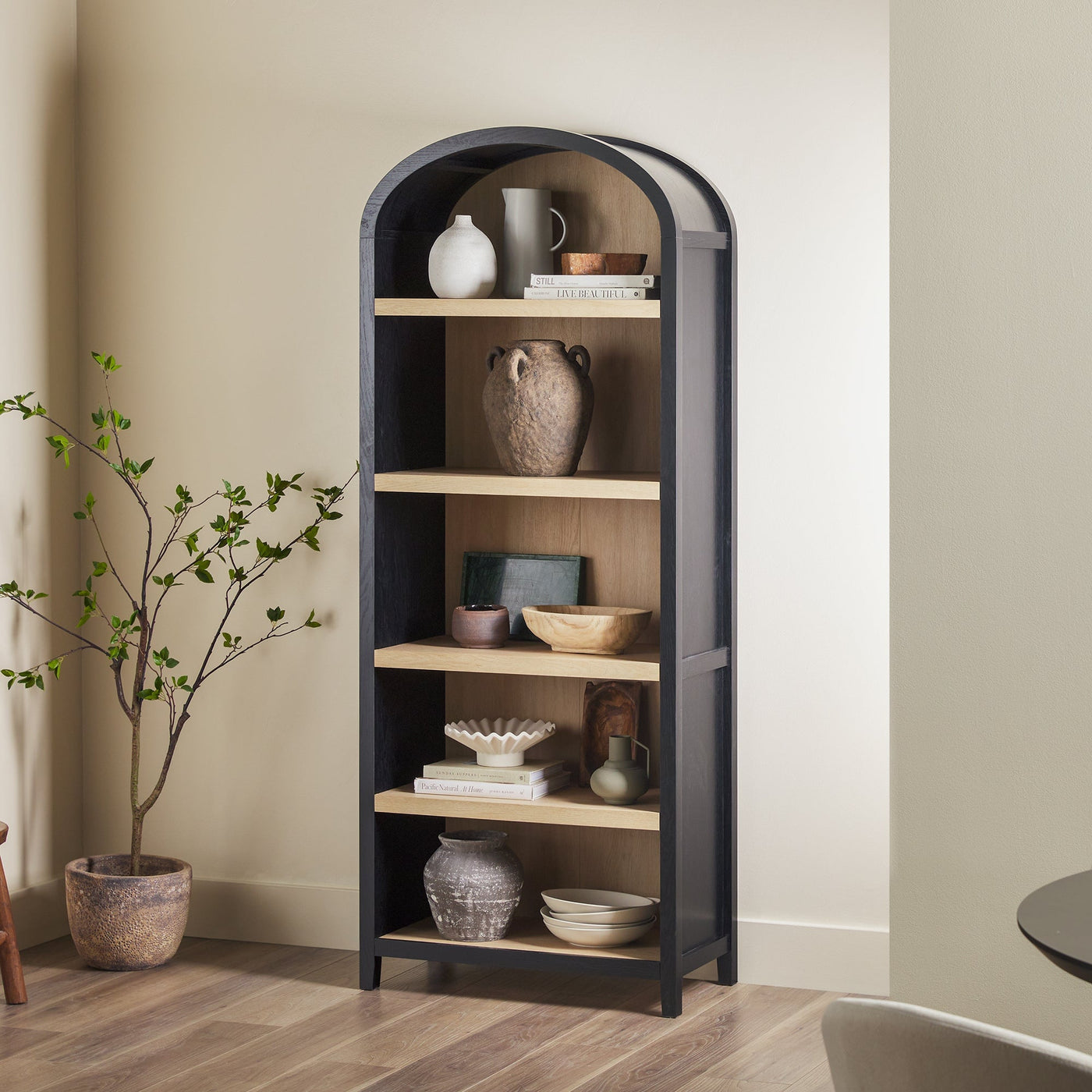 a shelf with a plant in the corner