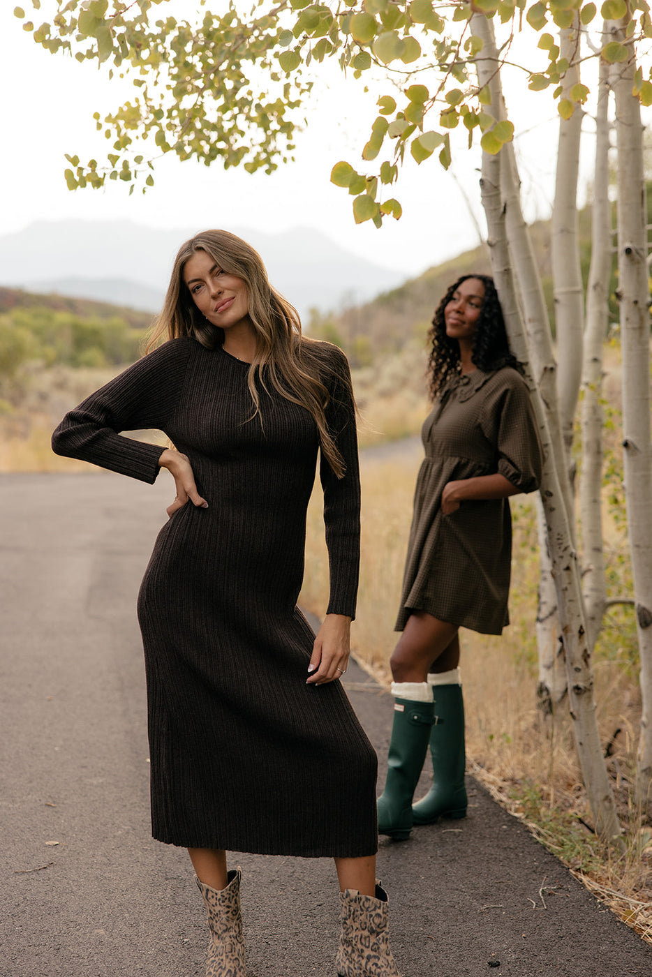 Primrose Collared Dress