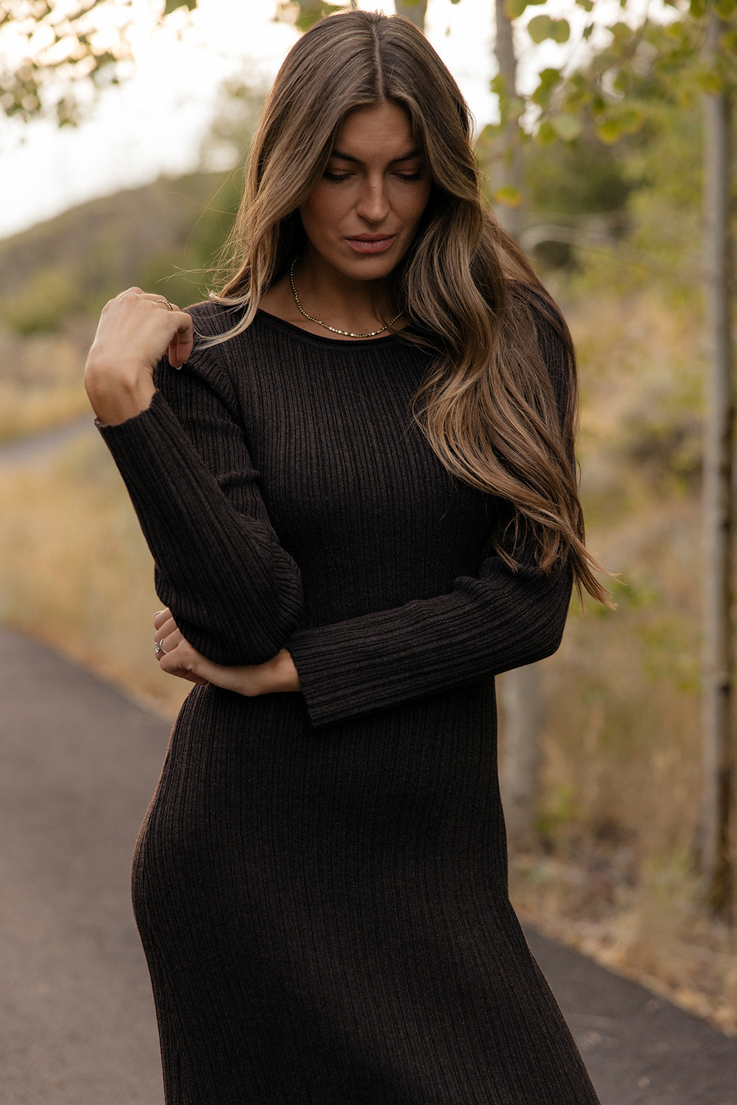 Cottage Path Sweater Dress