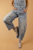 Free People Good Luck Barrel Overalls