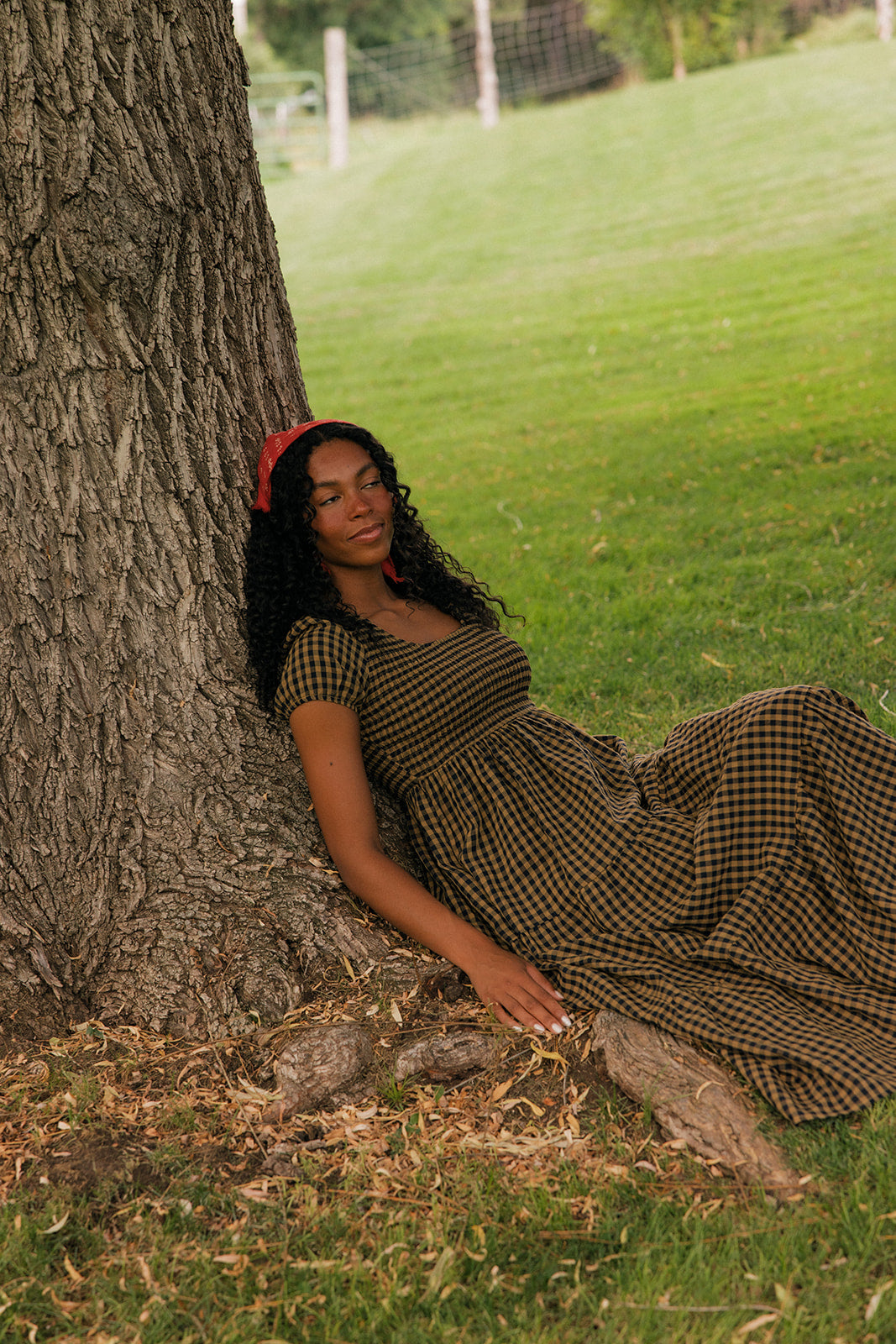The Story Goes Gingham Dress
