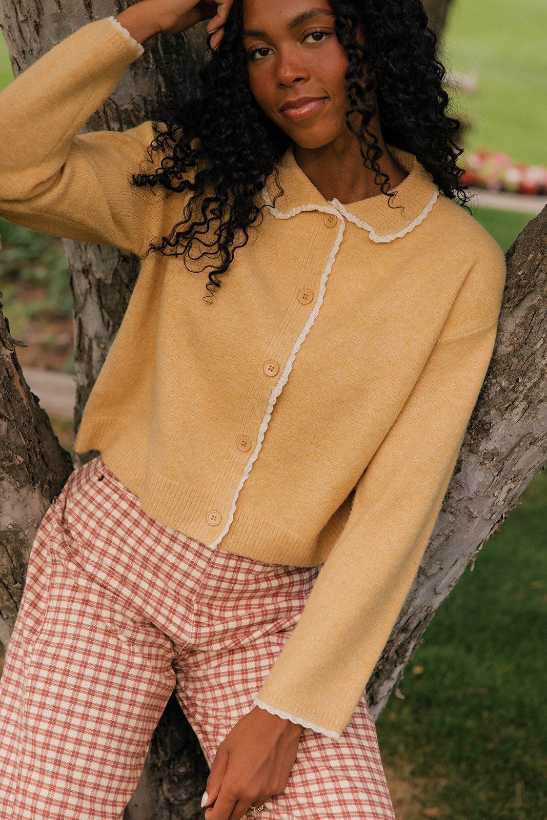 Toasted Oat Collared Cardigan