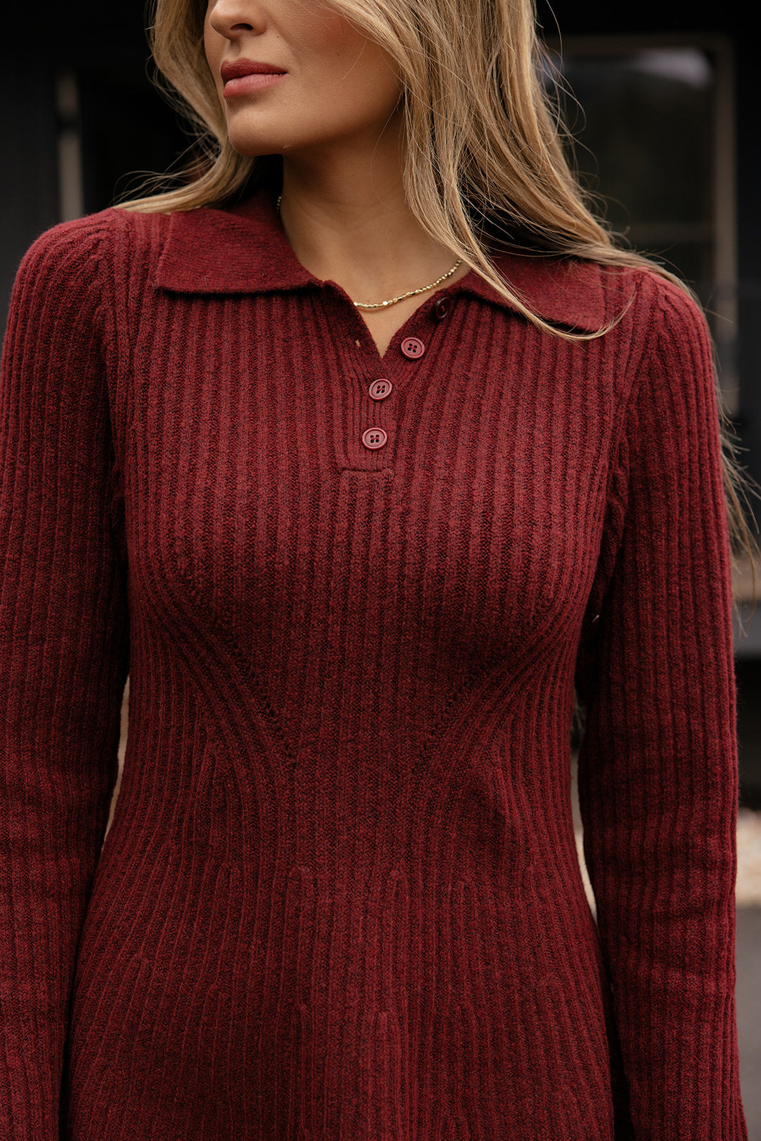 Mirabelle Knit Collared Dress