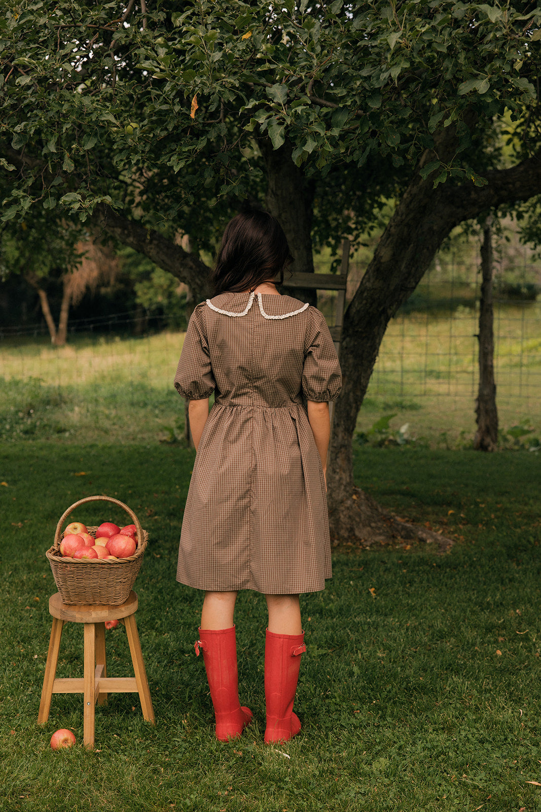 Chocolate Malt Collared Dress