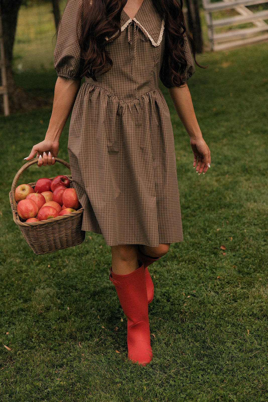 Chocolate Malt Collared Dress