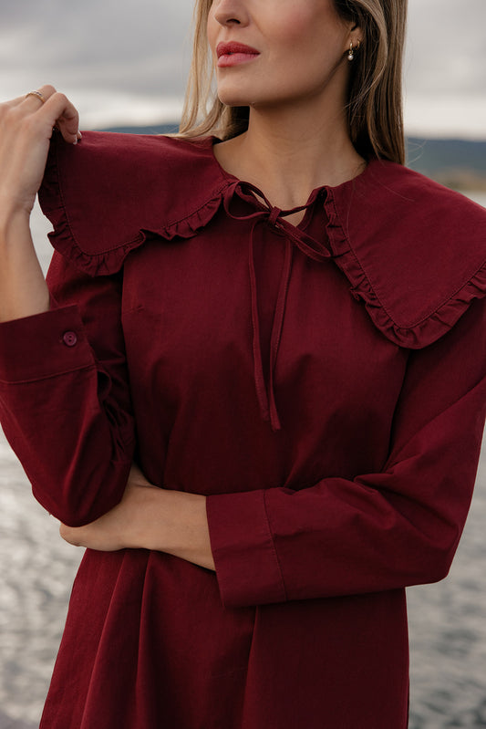 All the Frills Collared Dress
