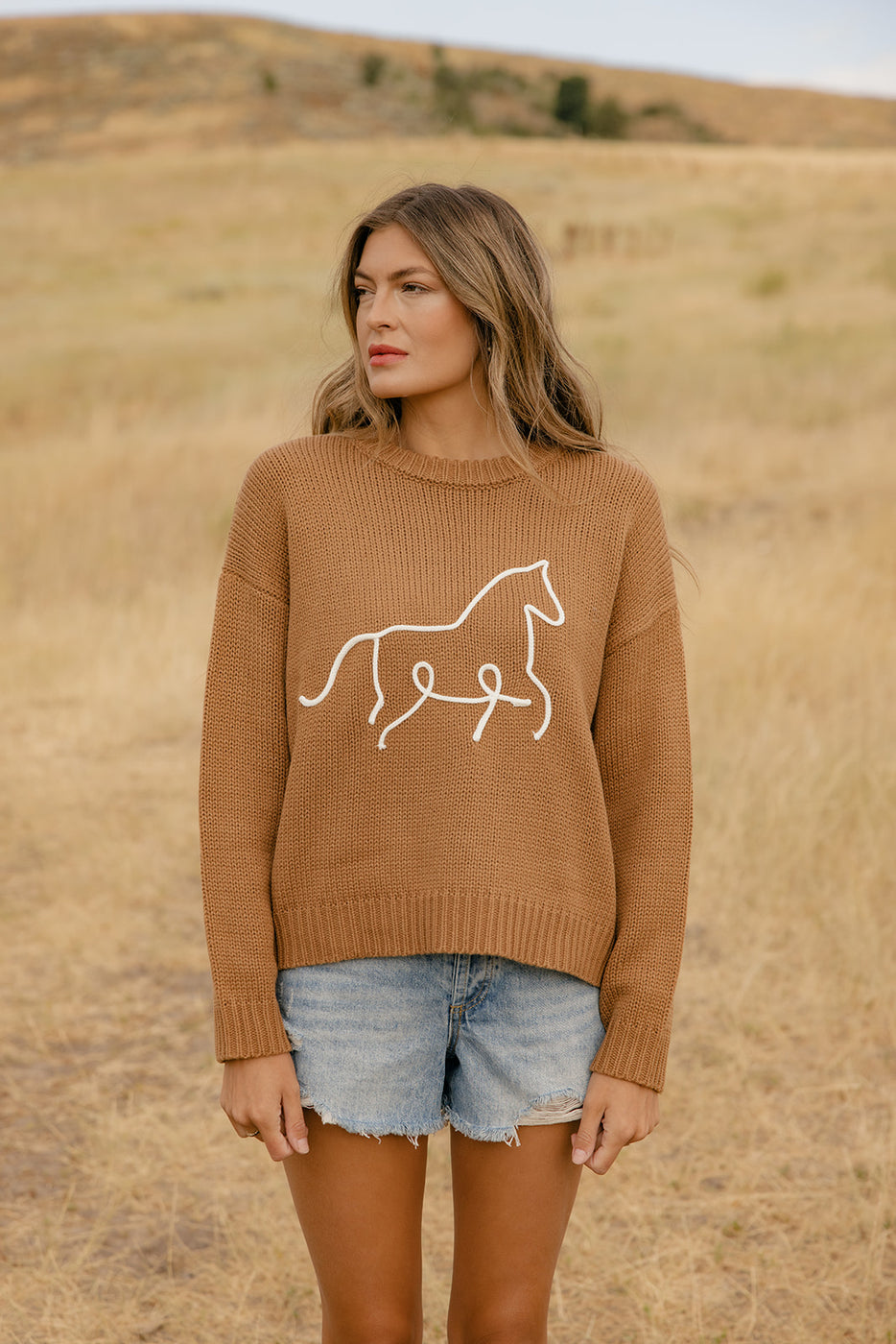 Rustic Reins Cozy Sweater