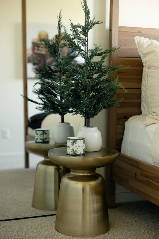 Balsam and Cedar Large Tin Candle