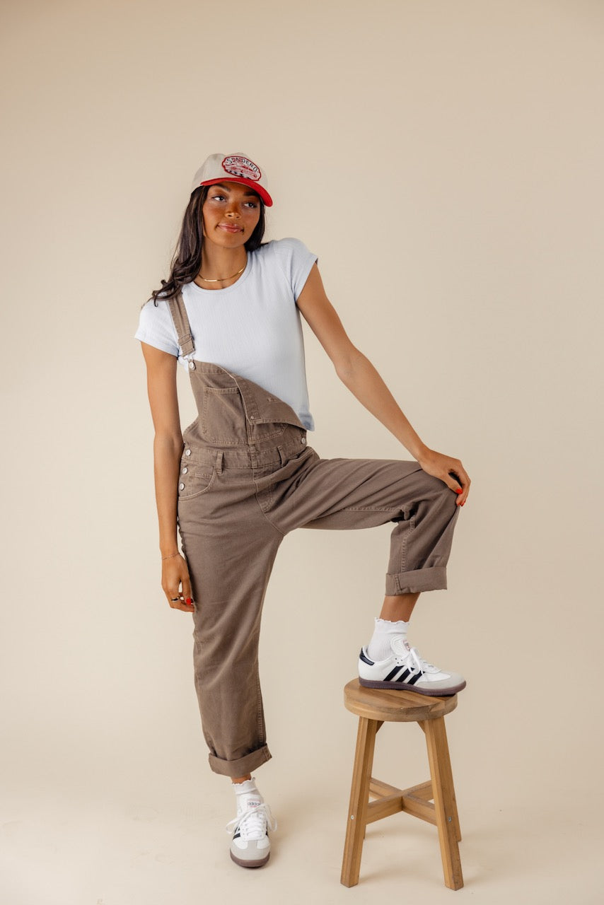 Free People Ziggy Denim Overalls