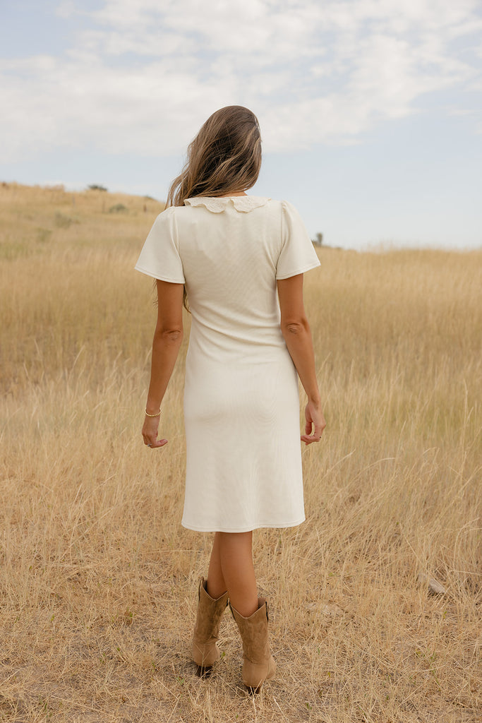 Dorothy Lace Collared Dress
