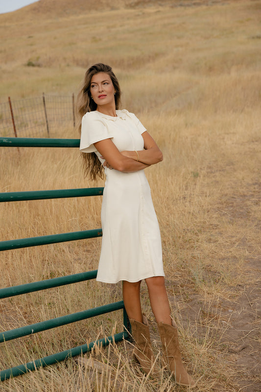 Dorothy Lace Collared Dress