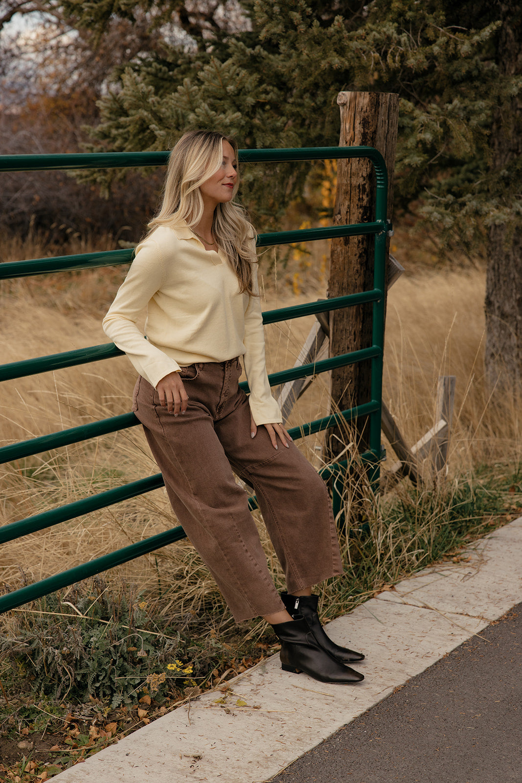 Mellow Yellow Collared Sweater