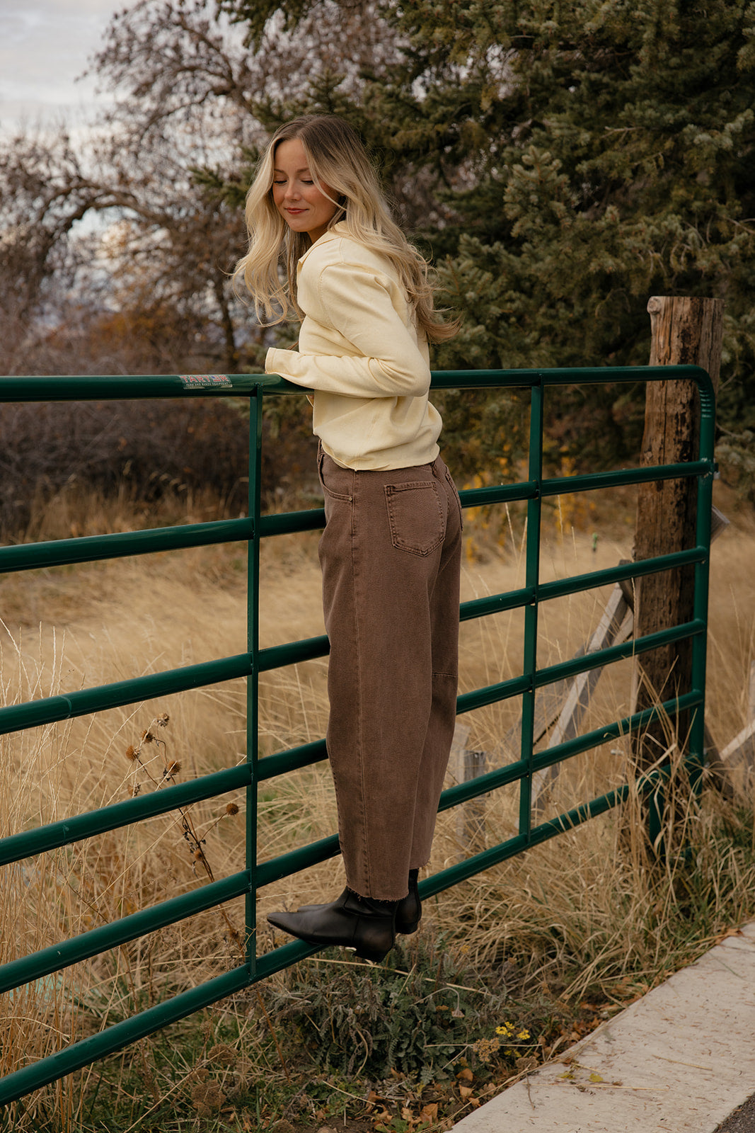 Mellow Yellow Collared Sweater