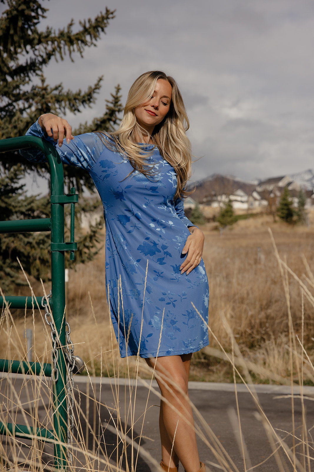 Winterberry Lace Dress