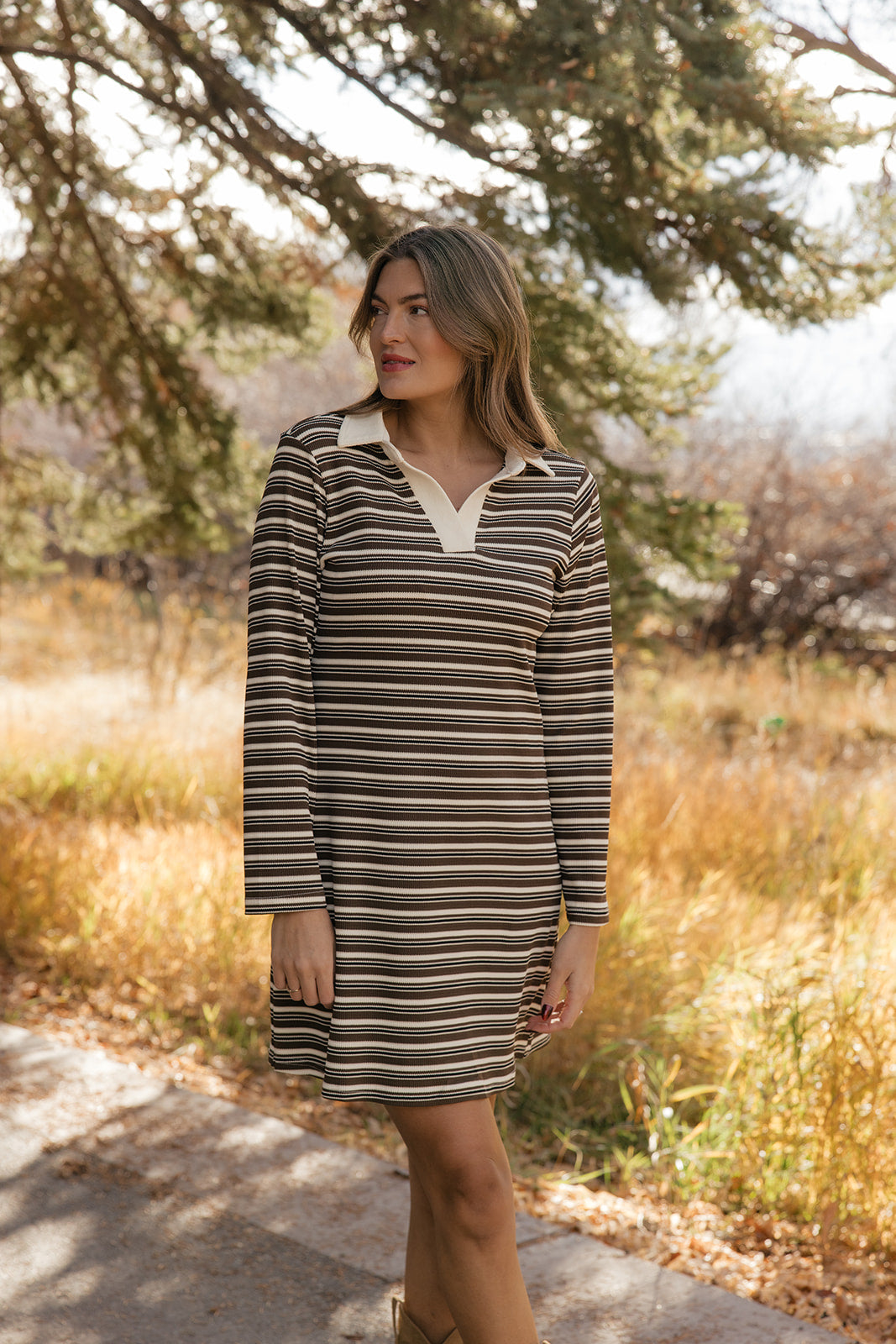 Charlotte Polo Dress