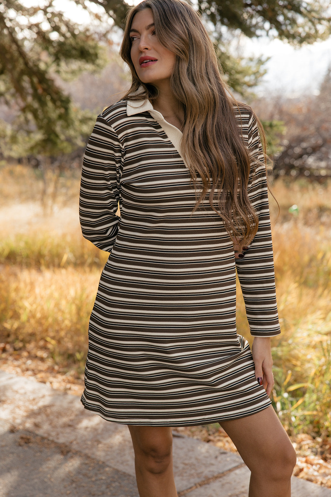 Charlotte Polo Dress