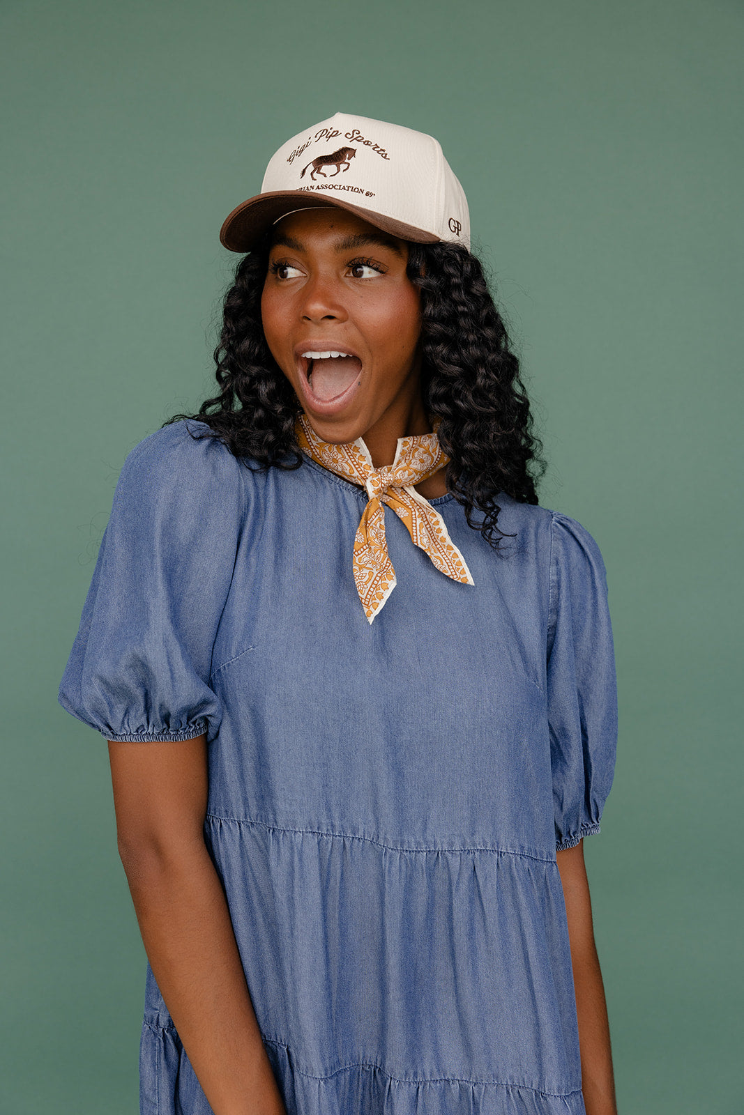 Report Card Denim Dress