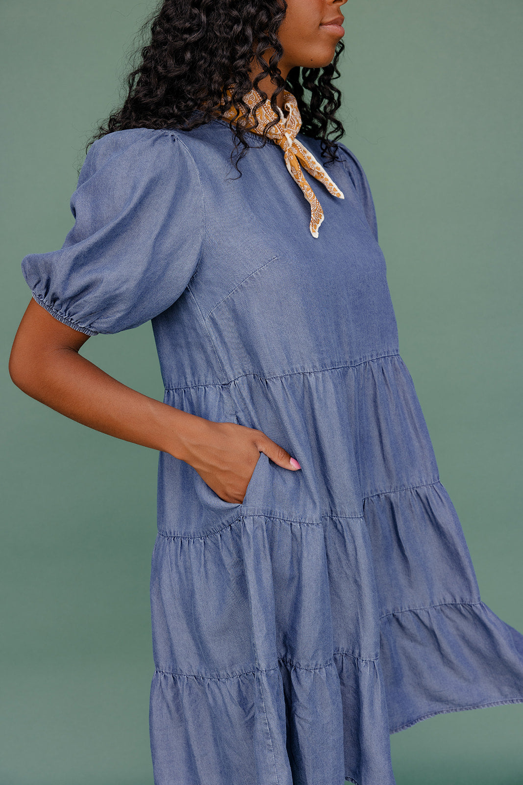 Report Card Denim Dress